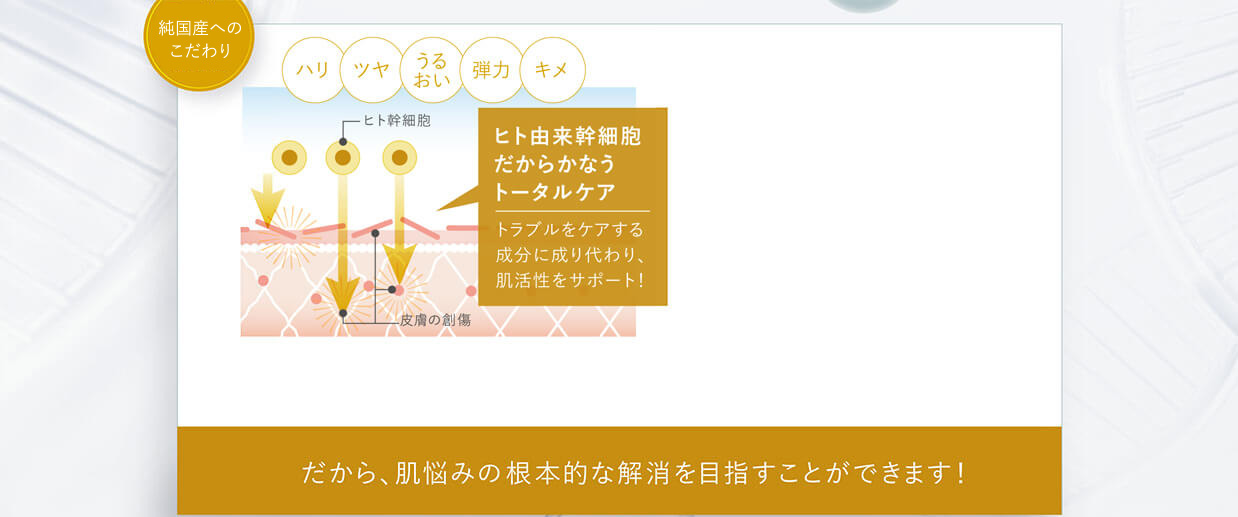 ヌービスセルは純国産！　ヒト幹細胞　皮膚の創傷　ヒト由来幹細胞だからかなう肌変化　トラブルをケアする成分に成り代わり、肌活性をサポート！　だから、肌悩みの根本的な解消を目指すことができます！