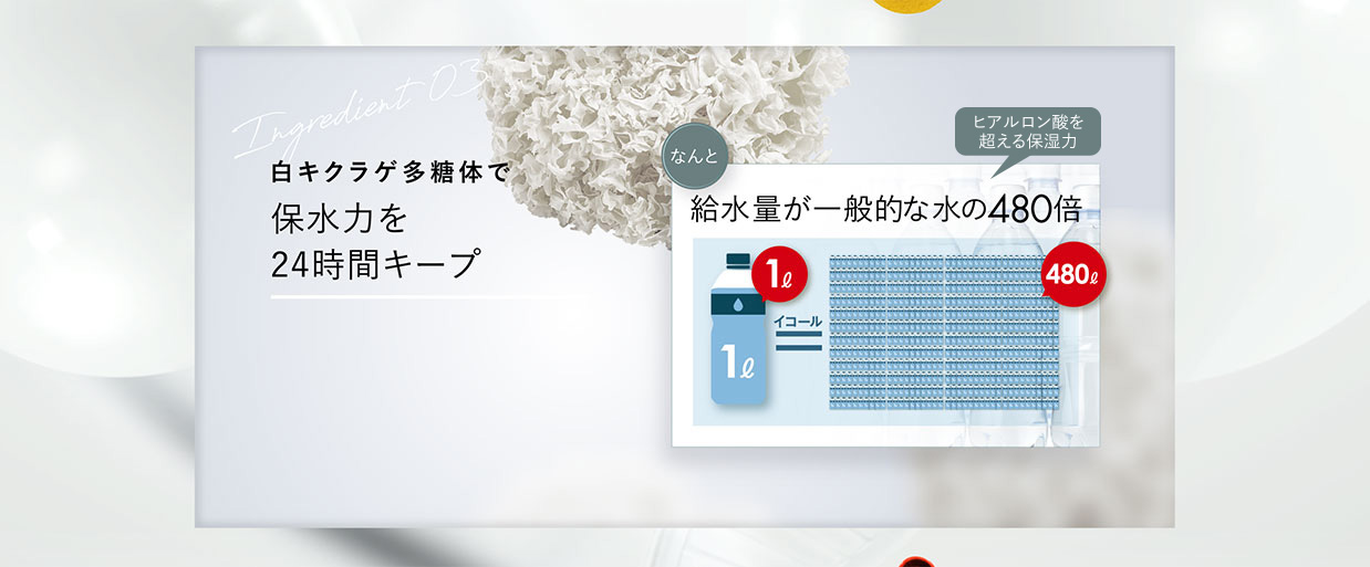 Ingredient03　白キクラゲ多糖体で保水力を24時間キープ　なんと給水量が一般的な水の480倍　1L＝480L