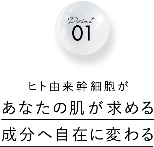 Point01 ヒト由来幹細胞が あなたの肌が求める成分へ自在に変わる