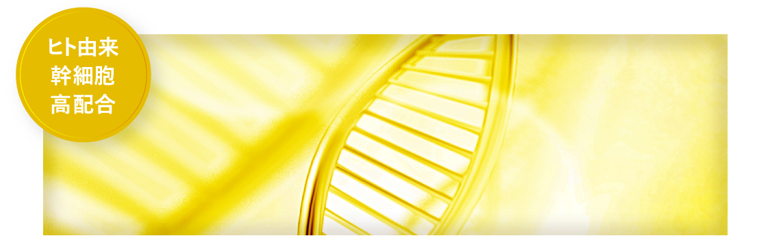 ヒト由来幹細胞高配合