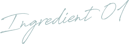 Ingredient 01