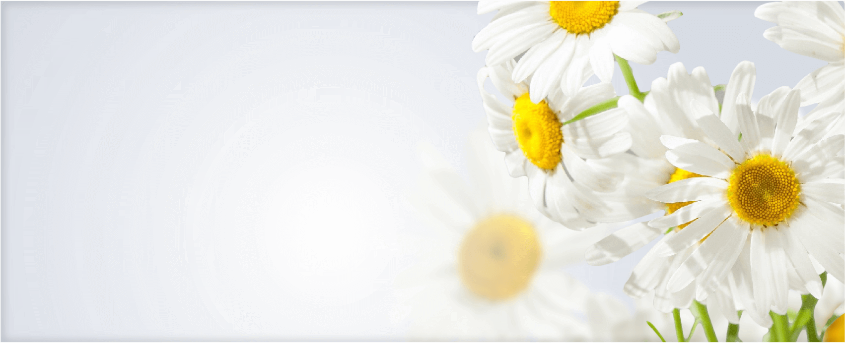 肌が本来持っているポテンシャルを引き上げる