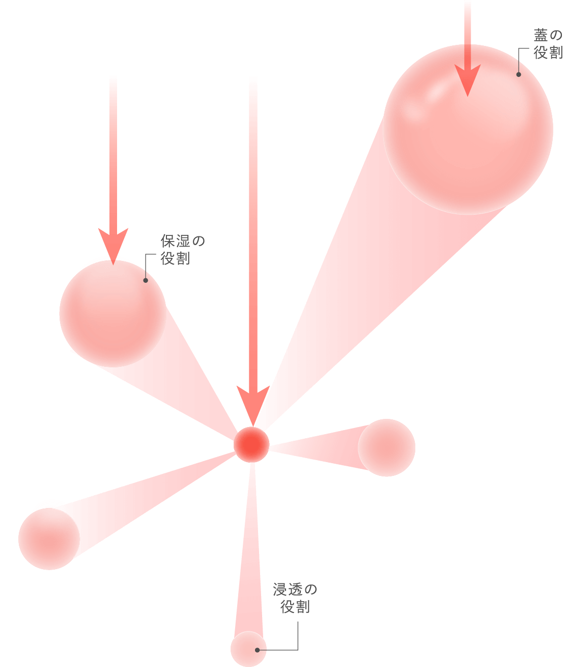 美容成分が浸透した後肌の奥※で一気に広がる！