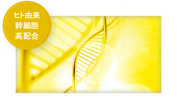 ヒト由来幹細胞高配合