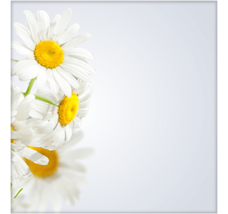 肌が本来持っているポテンシャルを引き上げる