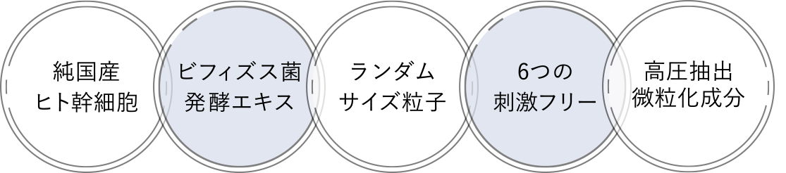 純国産ヒト幹細胞純化培養液ビフィズス菌発酵エキスランダムサイズ粒子6つの刺激フリー