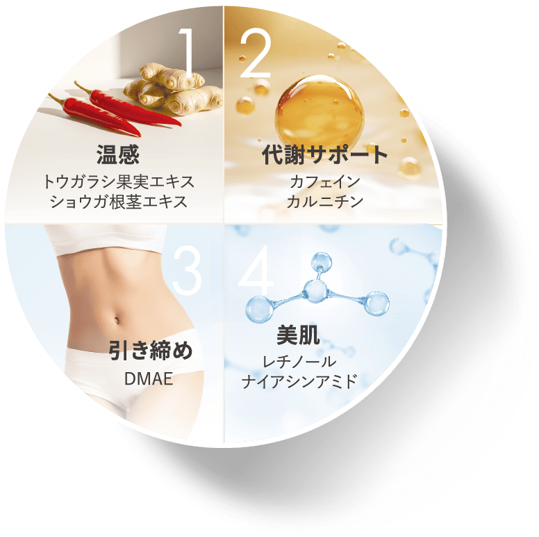 温感 トウガラシ果実エキス ショウガ根茎エキス 代謝サポ一ト カフェイソ カルニチン 引き締め DMAE 美肌 レチノ一ル ナイアシンアミド